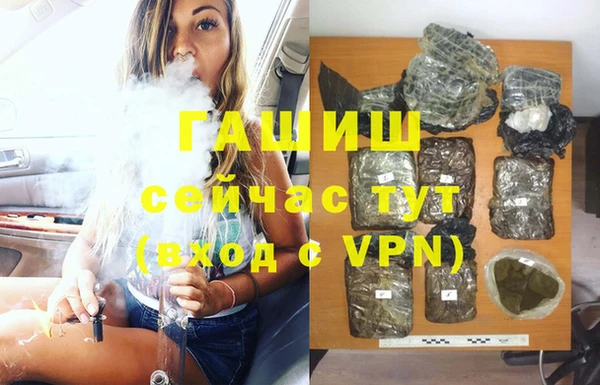 гидра Верхний Тагил