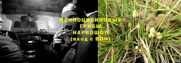 гидра Верхний Тагил