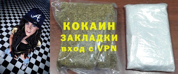 гидра Верхний Тагил