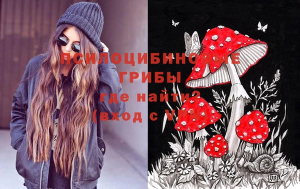 трава Верхнеуральск