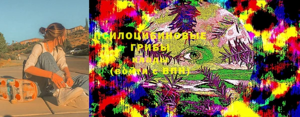 гидра Верхний Тагил