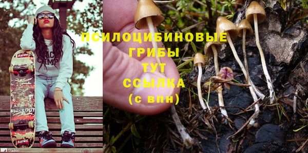 эйфоретик Верея